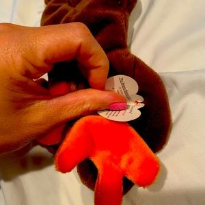 Beanie baby chocolate